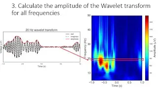 Filtering neural signals and processing oscillation amplitude