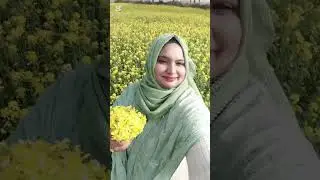 🌿সরিষা ফুল শীতের সময় এ যেন প্রকৃতির অন্যরকম ছোঁয়া🌿