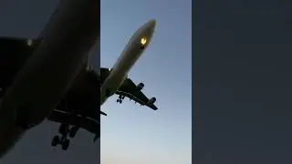 Qatar Amiri Airways A340-200 landing RWY 32 #qatarairways #qatar #airbus #a340