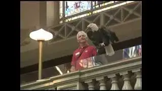 Clark the Bald Eagle Visits the MO House Chamber