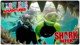🦈 From Shark Attacks to Shark Week | Kampy Kids Meet Paul de Gelder & Jeff Kurr
