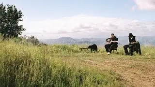 joei razook - flower bed (acoustic)