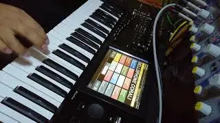 Korg Kronos - Samples Sure&ntilde;os(Upgrade)