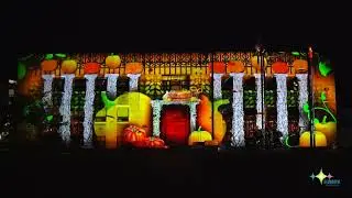 2022-2023 DELIGHTFUL DOWNTOWN - Fall Light Show