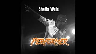 Shatta Wale - Performer (Audio Slide)