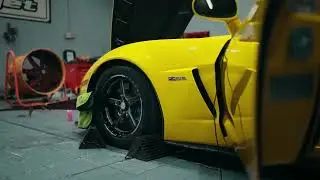كورفت هشام الملا