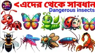 এই ছোট পোকাগুলো মানুষের জীবন নিতে পারে 😱 | Dangerous Insects in Bangla