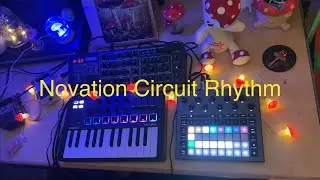 Back 2 Back Tunes - Novation Circuit Rhythm 