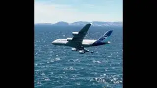 the pilot's actions endangered the plane's passengers EP263