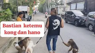Bastian main ketempat kong dan hano punya Audrey!