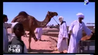 لأول مرة شاهد رقصات من حلايب وشلاتين