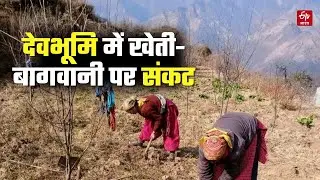 Climate Change in Uttarakhand: Agriculture and horticulture in crisis, farmers worried