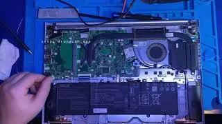 Dell czy ozyje?