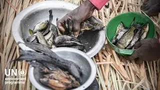 How an ecosystem-based approach can help Africa adapt to climate change