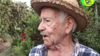 Garafía por dentro.mp4