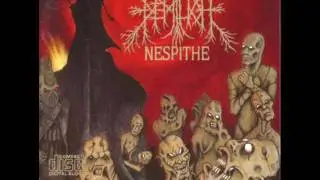 10 Awesome Death Metal Songs