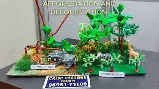 Afforestation and Deforestation School Project | Save Tree Save Earth model | Climate Change project
