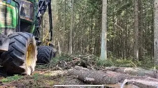 Работаем по Ели 🌲