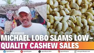 Michael Lobo Slams Low-Quality Cashew Sales | Protect Goa&rsquo;s Kaju Reputation