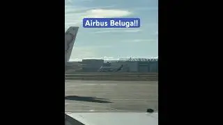 Rare Airbus Beluga! #airbusbeluga #airbus #plane #cargoplane