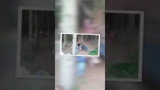 Cesta lesem poh&aacute;dek