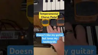 Tempermental #chorus pedal. #effectspedals #behringer #guitarpedals #piano #music