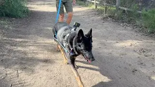 A Little Break Goes A Long Way For Kona