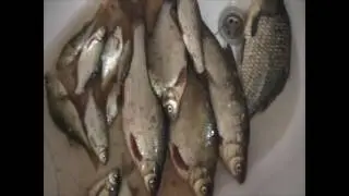 Прикормки HALIBUT SUPER CRUSH и RED HALIBUT SUPER CRUSH.ОБЗОР И РЕКОМЕНДАЦИИ ПО ИСПОЛЬЗОВАНИЮ