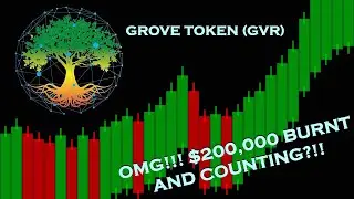 OMG!!! GROVE TOKEN IS BURNING $100,000+ OF THEIR ASSETS?!?! GROVE TOKEN IS STABALISING!!