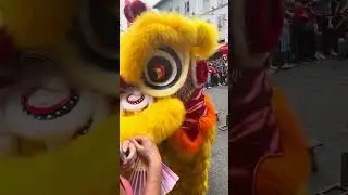 Lion dance at Chinatown Smith Street