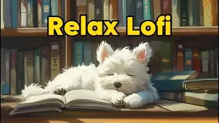 Lo-fi Study & Chill with a Sleepy Puppy 📚 |Relaxing Loop for Study, Focus & Calm