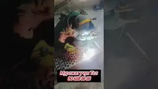9 января 2026 г. Навес чертак ишлимиз заказ болса каракалпакстан бойлап заказ Аломиз 