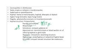 Fungi Characteristics