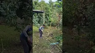 Cricket drills -  batting practice at the home garden 