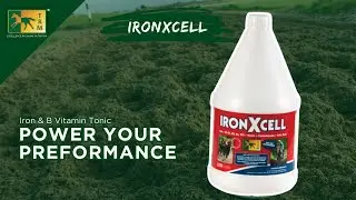 Power Your Performance with KURASYN 360X and IRONXCELL
