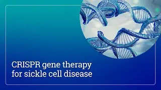 CRISPR gene therapy for sickle cell disease | Mass General Brigham