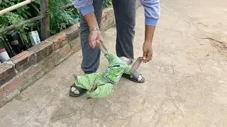 Stubborn DAM Was Strongly Reject To Walk 2 Leg As Mom Teaching