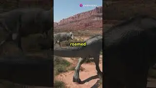 Achelousaurus, the hornless wonder