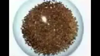 Spray Drift Reduction - Advanced Granule Technology