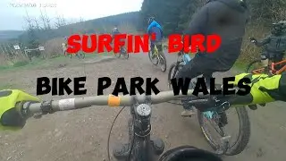 surfin' bird -bike park wales RED trail