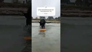 Waterfront Adventures: Ella&rsquo;s Daring Splash and Fetch Challenge! #dog #cutepets #subscribe