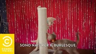 Gatti che fanno il burlesque - Mini Mocks - Comedy Central