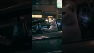 #PawBeats#DriveMeow#CatVibes#CatShorts#AIAnimals#FunnyCats#CuteCatMoments#CatMusic#AnimalShorts