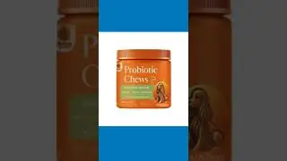 Calmdogs Probiotic Chews for Dogs &ndash; Gut Health & Digestive Support