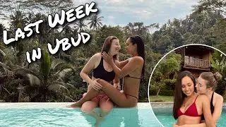 LAST WEEK IN UBUD | Moving into a new Place