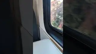 #california #bayarea #window #art #graffiti #graffitiart #uscity #train #travel  #neighborhood