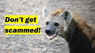 ❌ Beware of this Kenya scam!