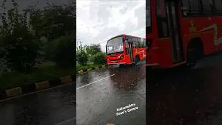 MSRTC New Ashok Leyland Bs6 Lalpari Bus in Heavy Rain #lalpari #msrtc #msrtcbus #rain