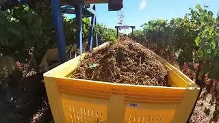 Harvest 2021