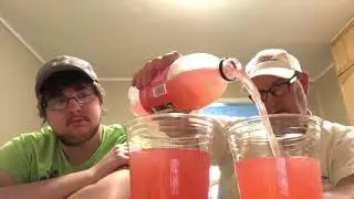 Strawberry Melon Brisk Iced Tea # The Beer Review Guy
